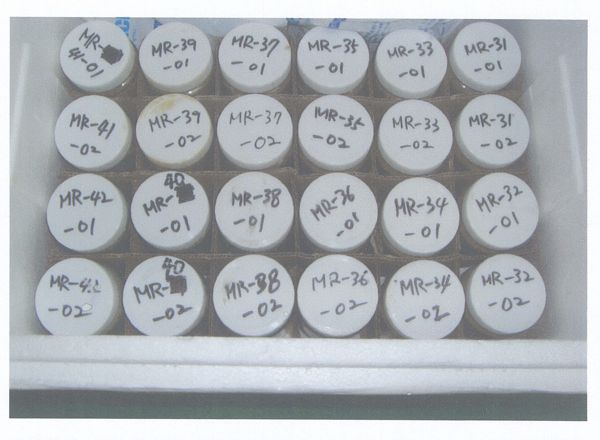 8 Over 450 samples were put on ice and readied for shipping to the lab