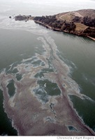 0002 1 B Hebie Spirit oil spill covered over 77 kilometers of coastland and island shoeline