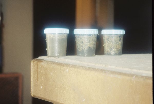 2/12 Once the inlet retention time had elapsed samples from the grease separator were taken to the Trinity river waste plant lab to verify the waste, 