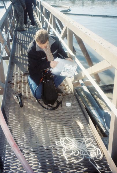 3/1 Once OSE II had reduced the grease in the first two tests then OSE II was tested in the large skimmer retention ponds at the trinity River waste 