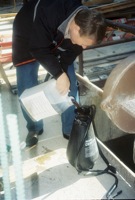 2/4 The 3 gallon pump up sprayer was filled a second time to apply OSE II in order to get enough OSE II to meet the 1 to 1 application rate of OSE II